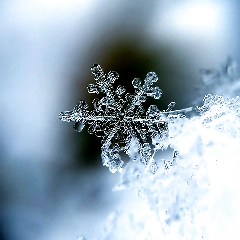 Doxywinter OnlyFans profile picture