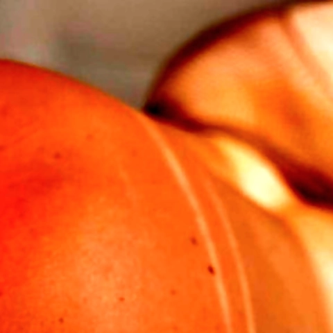 Chanel Preston OnlyFans profile picture