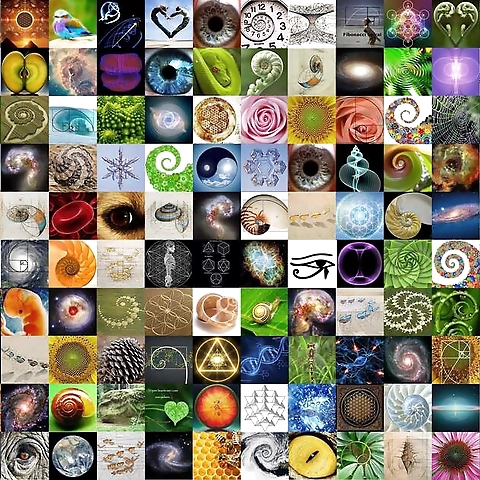 Sami Parker OnlyFans profile picture