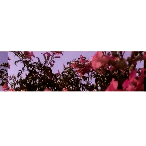 Sasha King OnlyFans profile picture