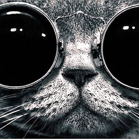 Hayley Daniels OnlyFans profile picture