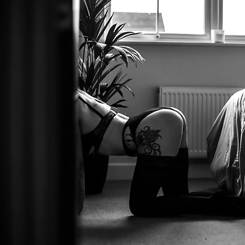 LETS PLAY OnlyFans profile picture