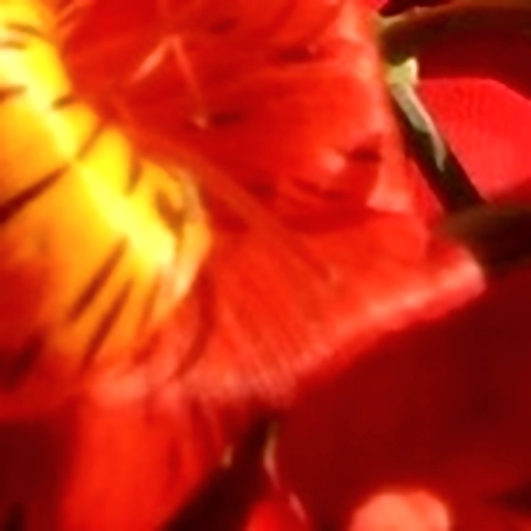 aworkofartinprogressFREE OnlyFans profile picture