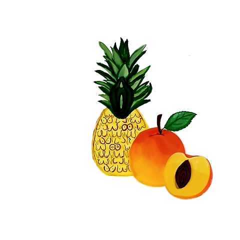 Bird OnlyFans profile picture