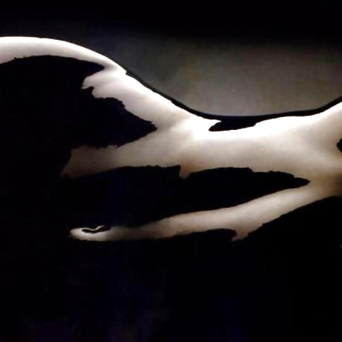 Mahoganydime OnlyFans profile picture