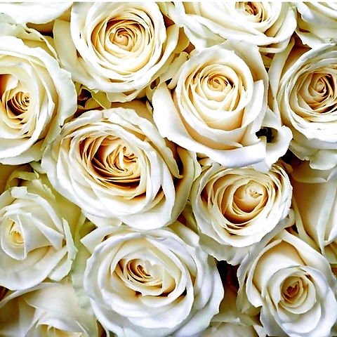 kittykizzez OnlyFans profile picture