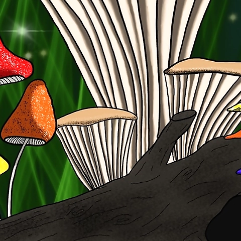 Kayla Ann OnlyFans profile picture