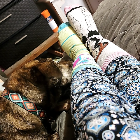 Bennie OnlyFans profile picture