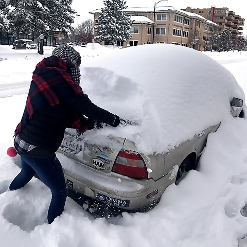 Bree OnlyFans profile picture