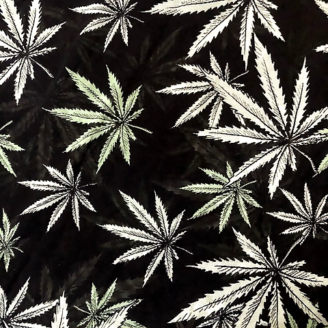 Playtime Fun OnlyFans profile picture