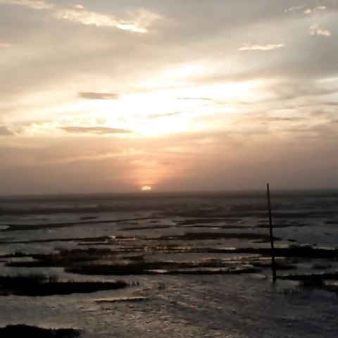 Sativa OnlyFans profile picture