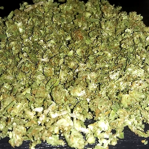 Ima Stoner OnlyFans profile picture