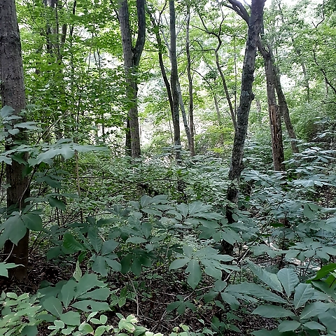 Hellangel9292 OnlyFans profile picture