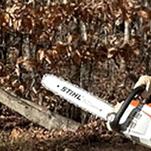 Rahyndee OnlyFans profile picture