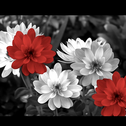 Reginalynn OnlyFans profile picture