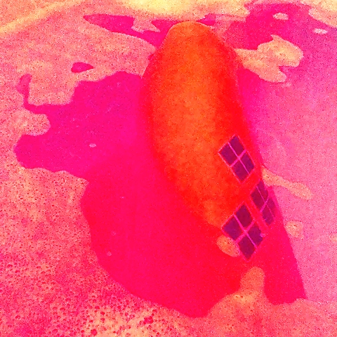 Jennifer Lofstusqurt OnlyFans profile picture