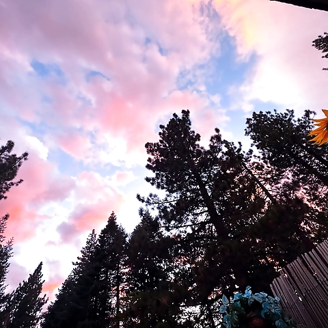 Lyra rose lane OnlyFans profile picture