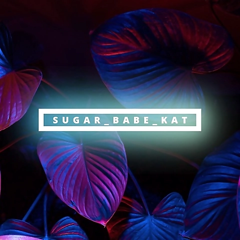 Kitty OnlyFans profile picture