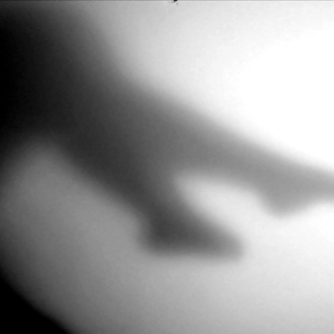 Katie OnlyFans profile picture