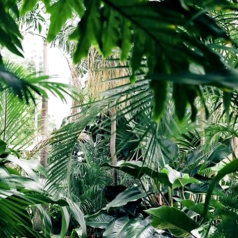 J OnlyFans profile picture