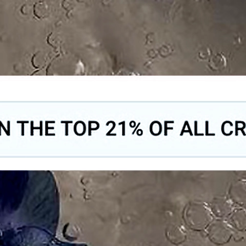 tata o nita OnlyFans profile picture