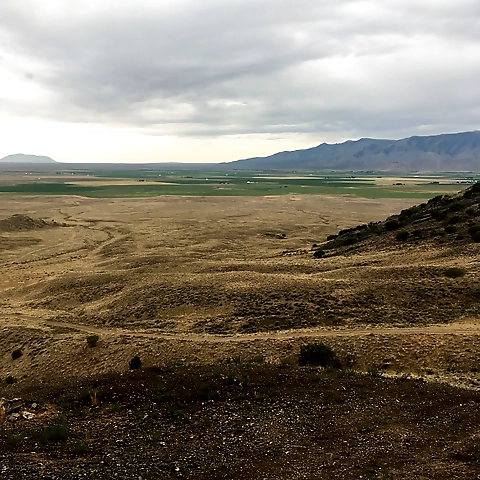 Maggie OnlyFans profile picture