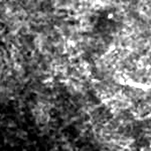 Lexi Wood OnlyFans profile picture