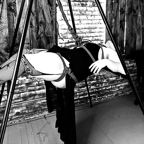 Sedusa OnlyFans profile picture