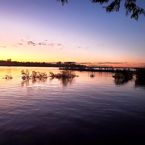 Sheila Fernandez OnlyFans profile picture