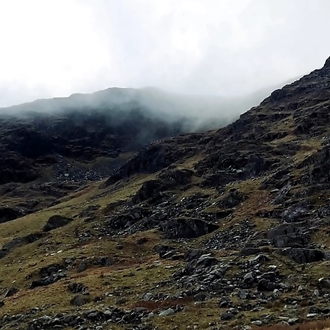 PhoebeMae OnlyFans profile picture