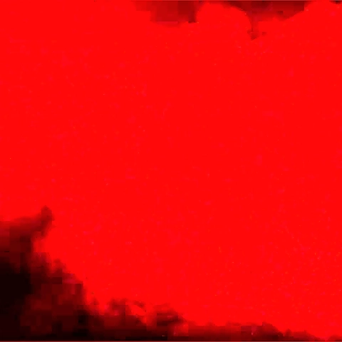 Court OnlyFans profile picture