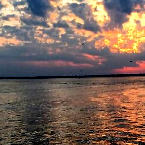 Sarah Elizabeth OnlyFans profile picture