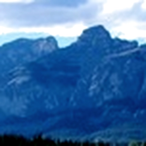 Abby Foxe OnlyFans profile picture