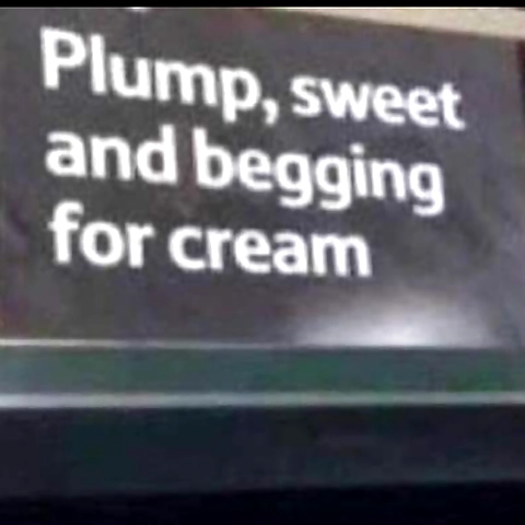 little fox OnlyFans profile picture